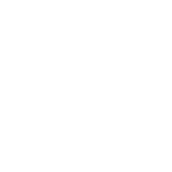 logo_Palace_Company_PRO_Agents